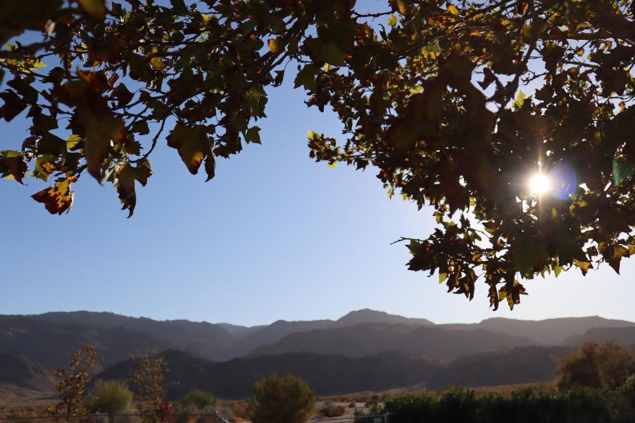 Oasis Inn And Suites 29 Palms Hotel Joshua Tree National Park ทเวนตีไนน์พาล์มส์ ภายนอก รูปภาพ